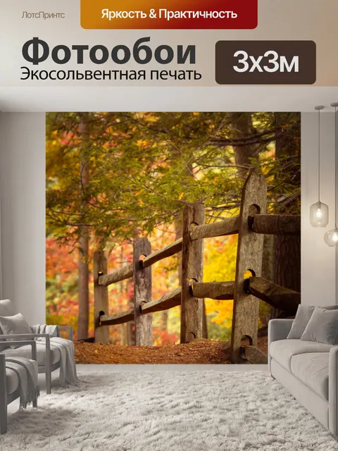 Фотообои Путь в лесу осенью
