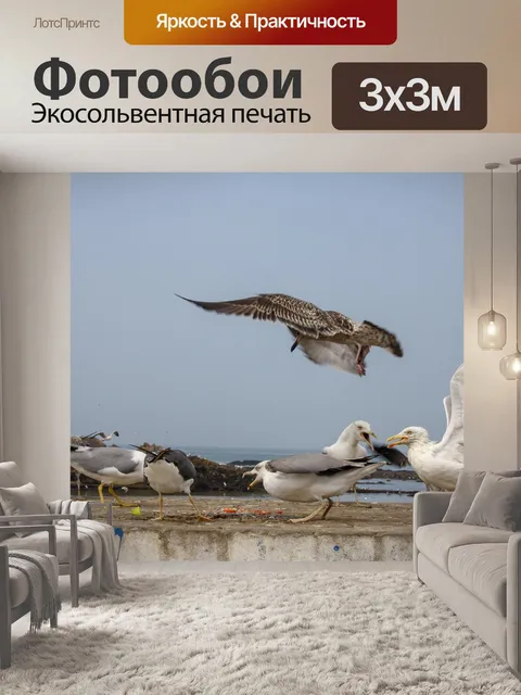 Фотообои Птица