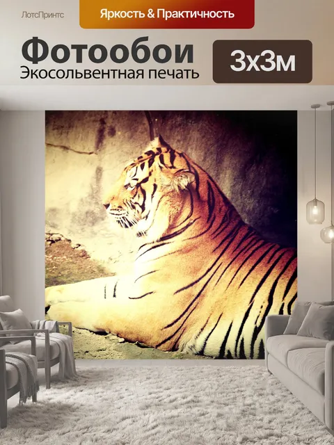 Фотообои тигр в зоопарке Таиланда