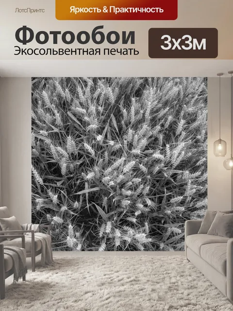 Фотообои Золотое пшеничное поле и солнечный день