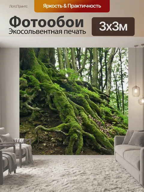 Фотообои Корень