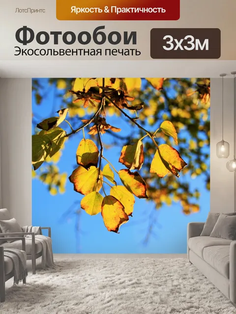 Фотообои яркие изменения листья