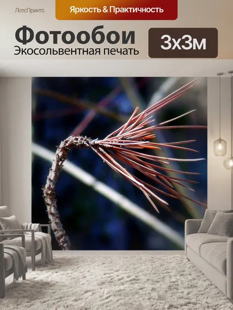 Фотообои Ветвь