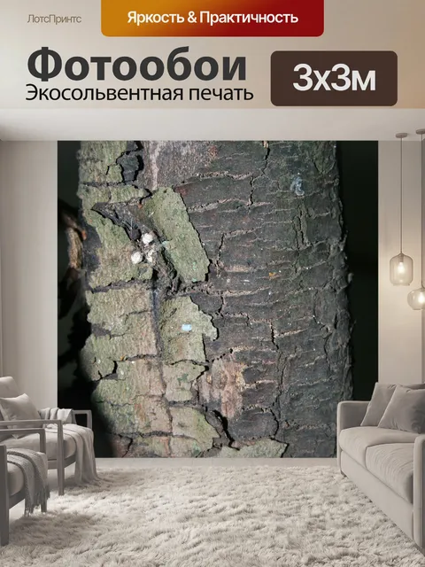 Фотообои серо-зеленый кора