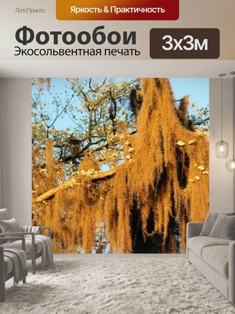 Фотообои Дерево Мосс с Dogwood Цветы