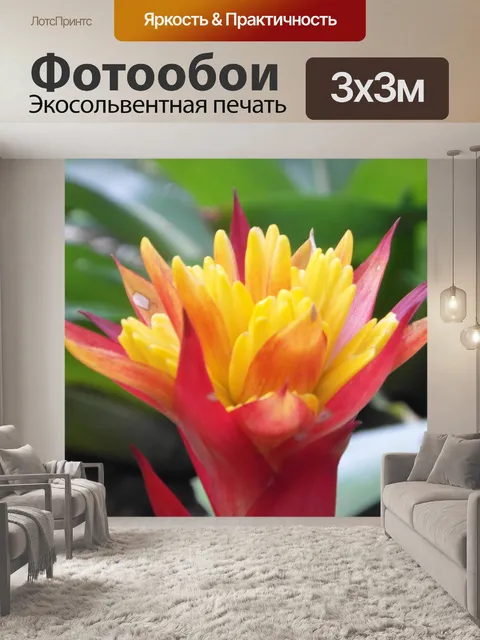 Фотообои Яркий тропический цветок