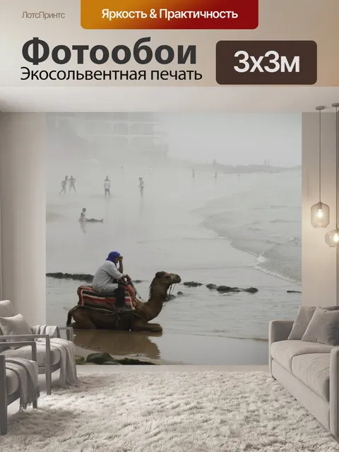 Фотообои Верблюд