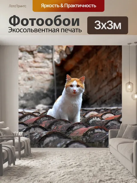 Фотообои Кошка