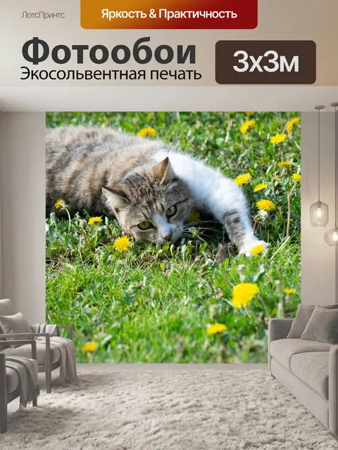 Фотообои Мышь