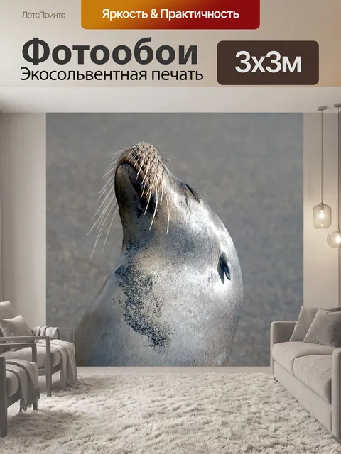 Фотообои Галапагосские острова