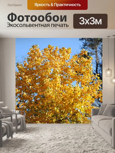Фотообои Пейзаж
