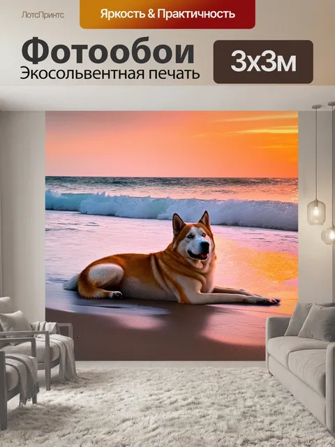 Фотообои спокойное изображение гибрида акита-ину и хаски, лежащего на пляже у моря во время заката