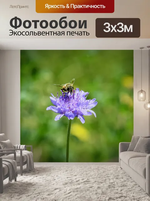 Фотообои Медоносная пчела, пчела, насекомое
