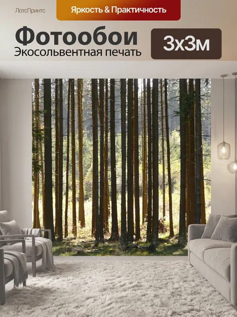 Фотообои Лес