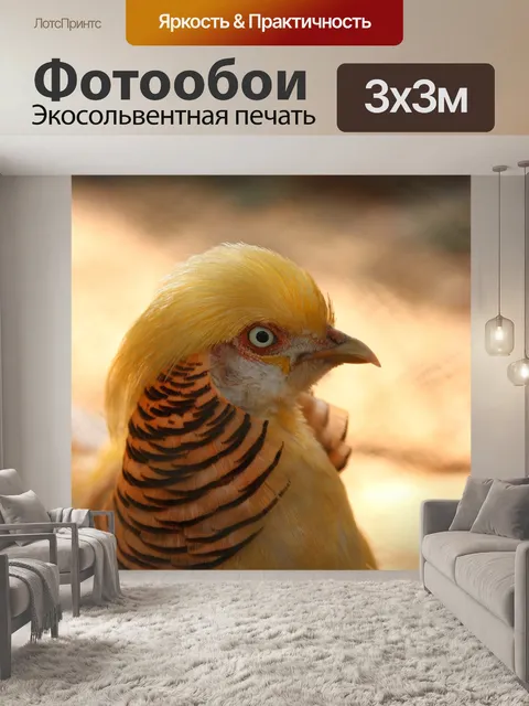 Фотообои Птица