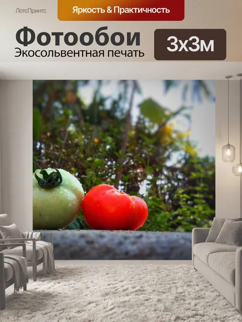 Фотообои Природа