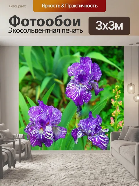 Фотообои Ирисы