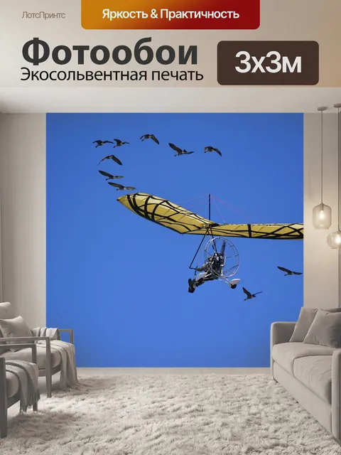 Фотообои Планер