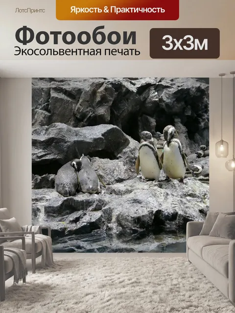 Фотообои Пингвины