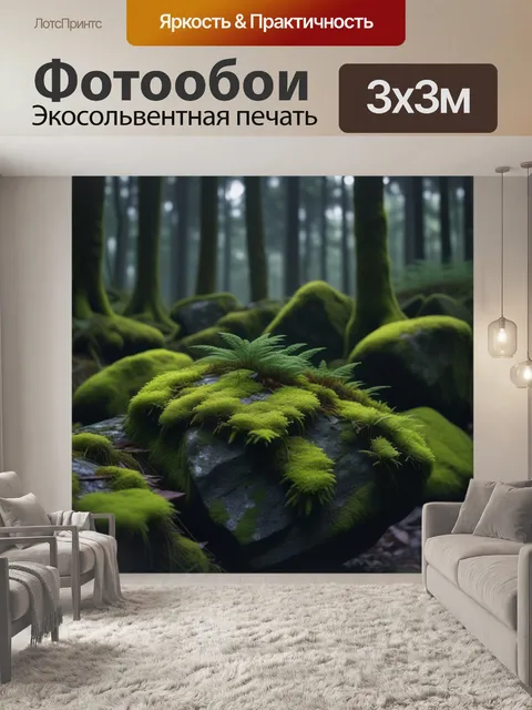 Фотообои мох на камнях в темном лесу