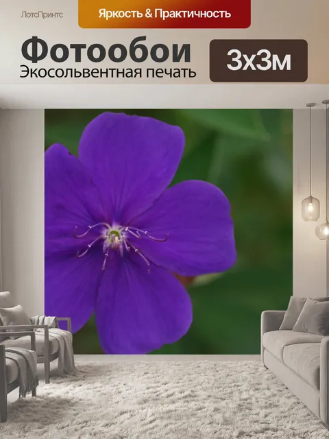 Фотообои Коста-Рика Цветы