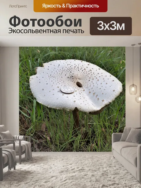 Фотообои Большой белый гриб в траве