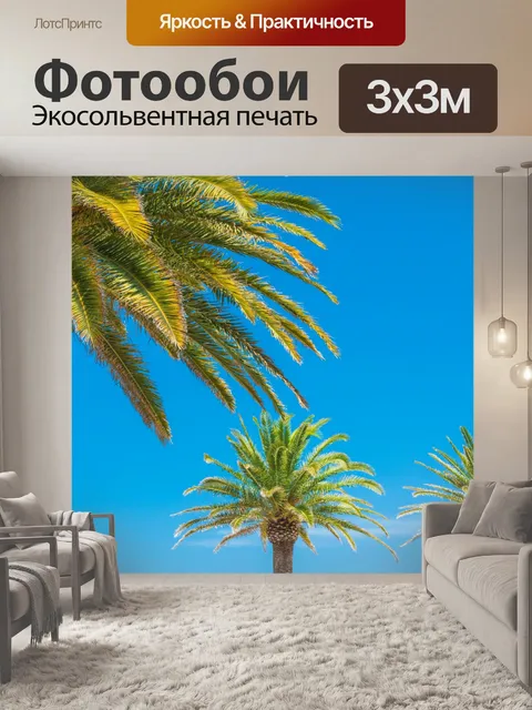Фотообои Пальмы и голубое небо