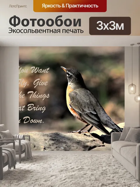 Фотообои Если вы хотите летать ...