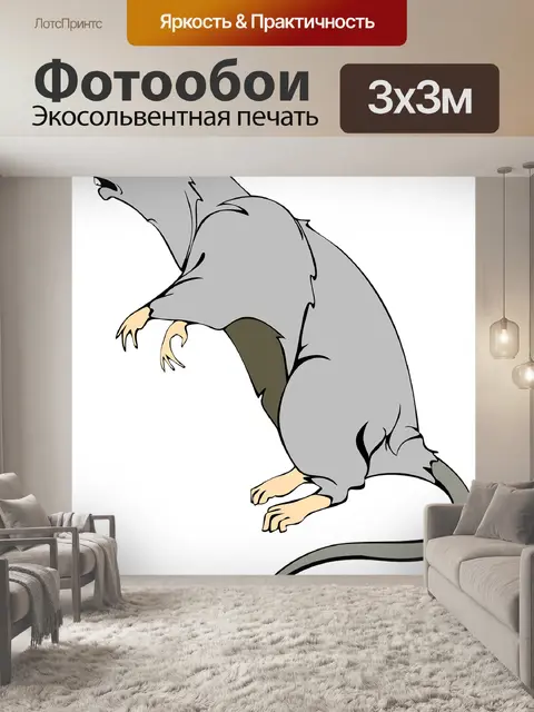 Фотообои Крыса