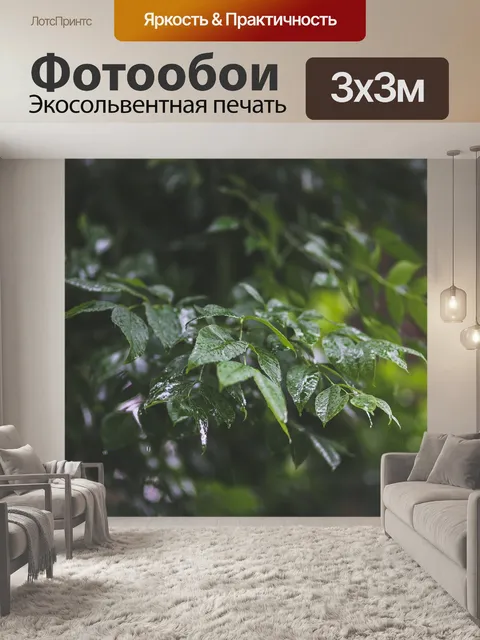 Фотообои Капли