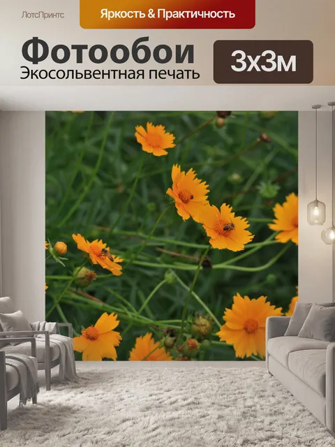 Фотообои пчелы опыления ромашки