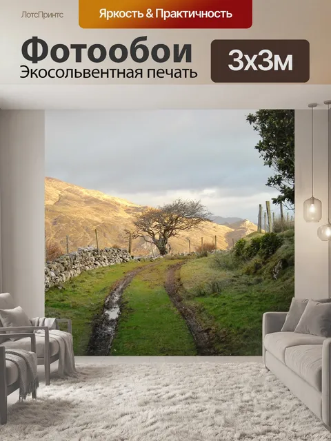 Фотообои Дорожка