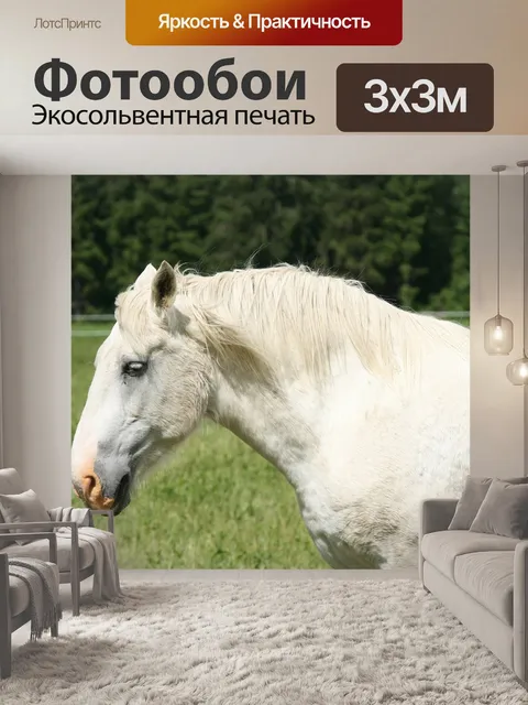 Фотообои Летом