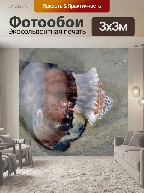 Фотообои мертвая медуза