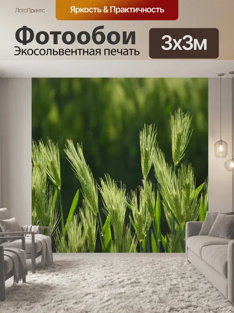 Фотообои Ячмень
