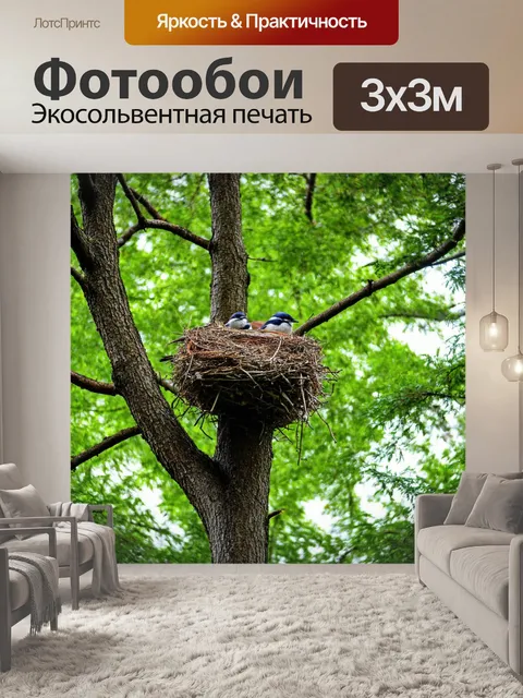 Фотообои лес с гнездом, расположенным высоко в дереве, символизирующим дом для птиц
