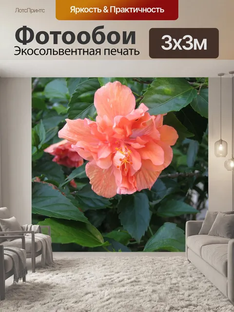 Фотообои Гибискус