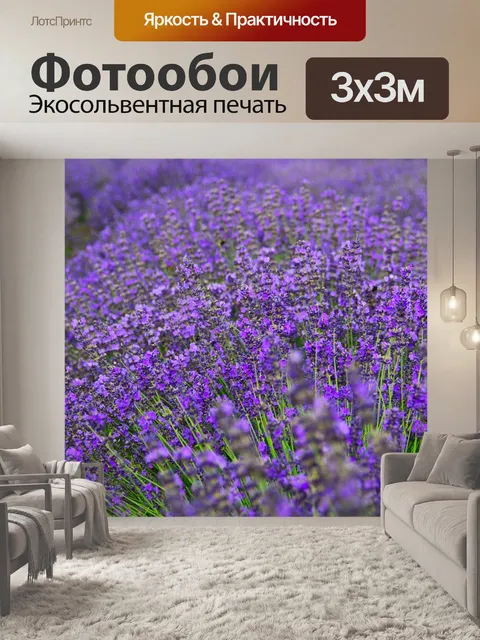Фотообои Лаванда