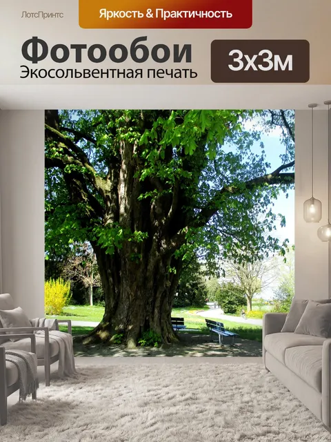 Фотообои Деревья