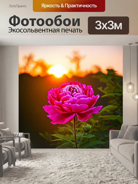 Фотообои пион на фоне заката, яркие оттенки розового и оранжевого, создающие атмосферу романтики