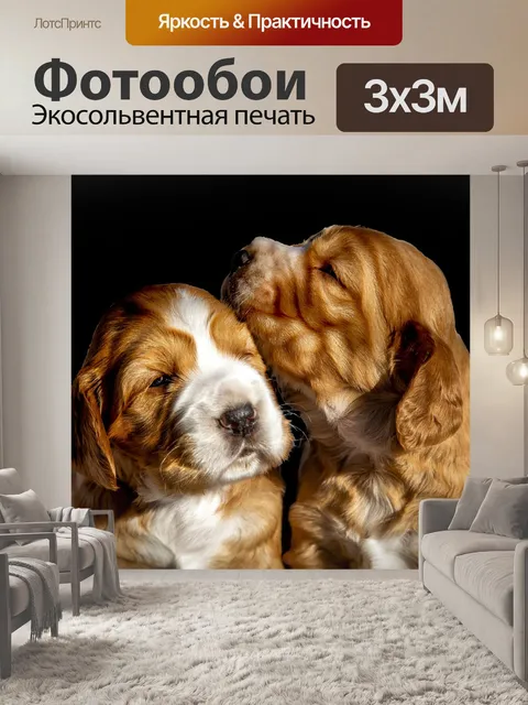Фотообои Щенки
