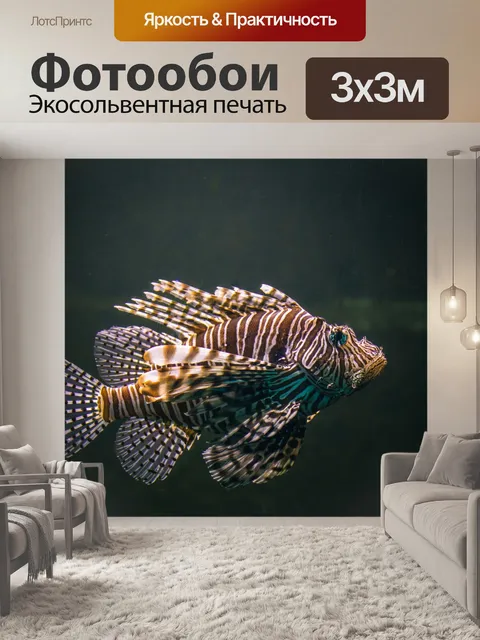 Фотообои Красная рыбка