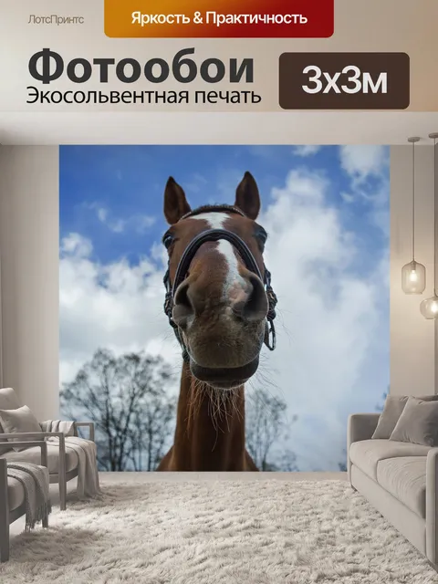 Фотообои Лошадь