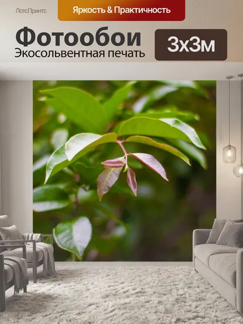 Фотообои Листья