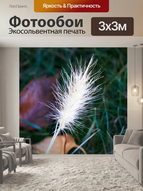 Фотообои перо пыльник