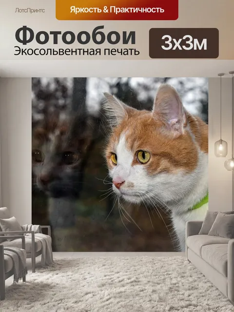 Фотообои Кошка