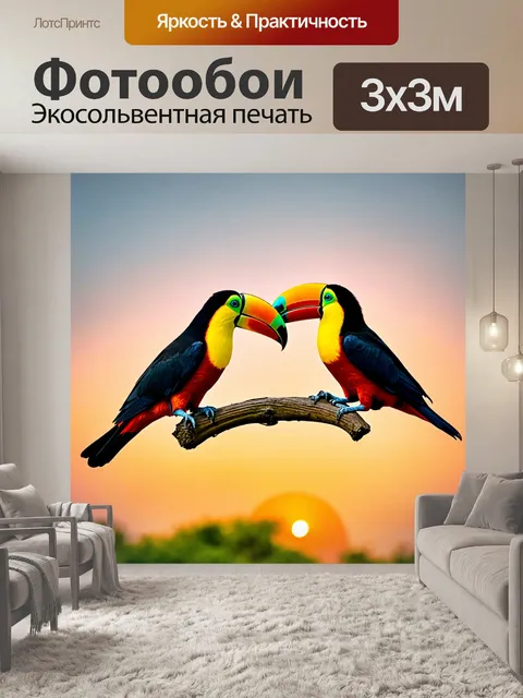 Фотообои два тукана, общающихся на фоне заката