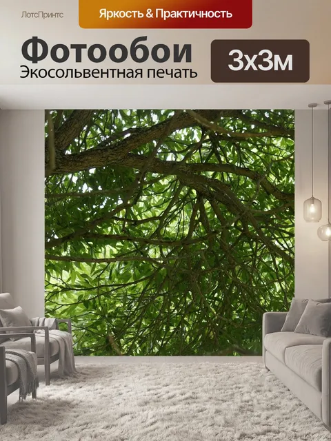 Фотообои Листва