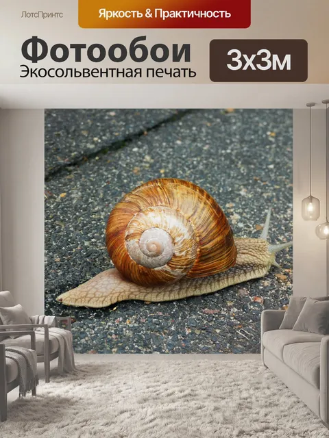 Фотообои Улитка
