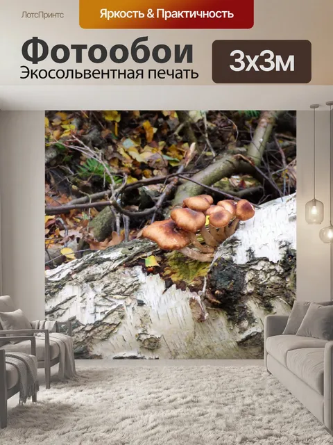 Фотообои грибы